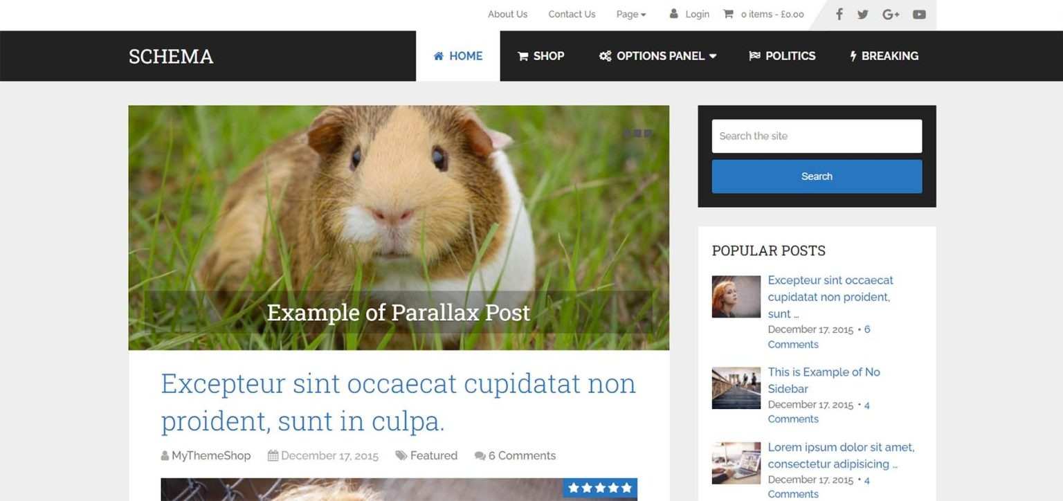 Mejores temas empresariales de WordPress rápido y optimizado para SEO-652e9445d2f73