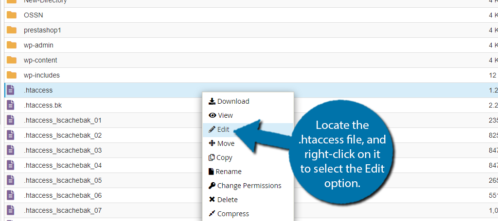 Edite el archivo .htaccess en WordPress