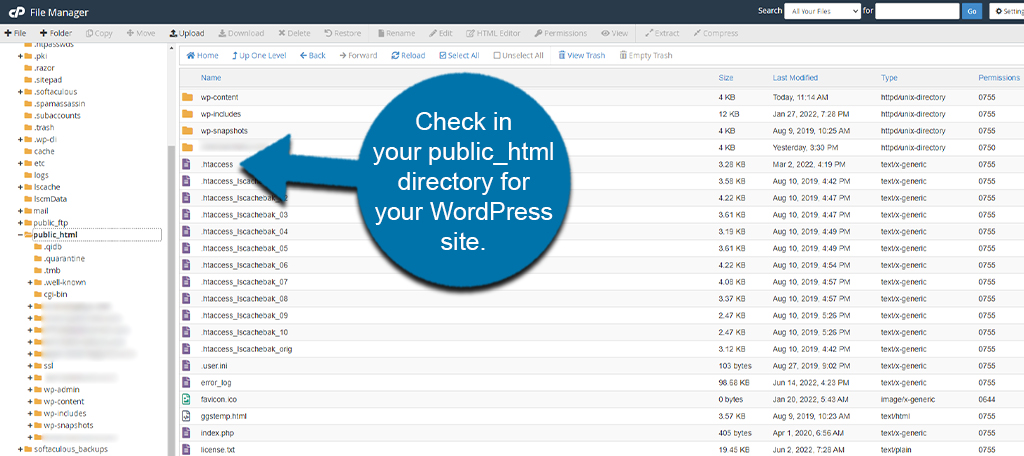Ubicación de htaccess de WordPress