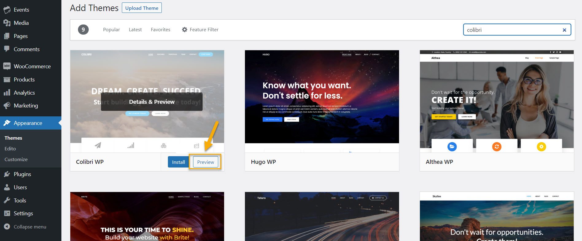 vista previa en vivo del tema de wordpress